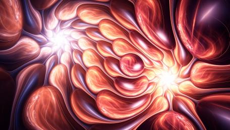 Digital fractals wallpaper