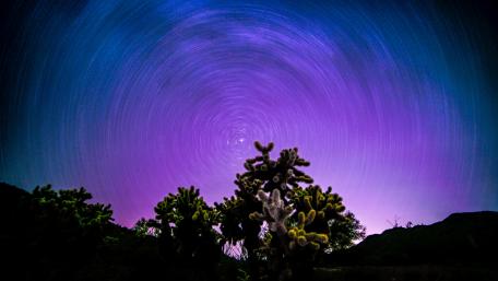 Purple star trails wallpaper