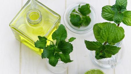 Fresh Mint and Oil Arrangement in Natural Light wallpaper