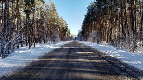 Winter Forest Roadway Adventure wallpaper