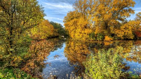 Autumn Reflections in a Serene Wetland Scene wallpaper