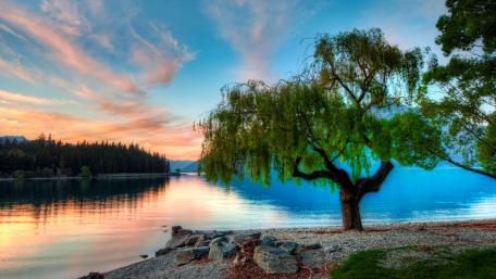 Tranquil Serenity of Nature’s Reflections wallpaper