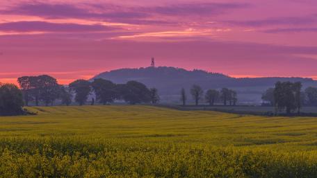 Vibrant Purple Sky Over Golden Fields wallpaper