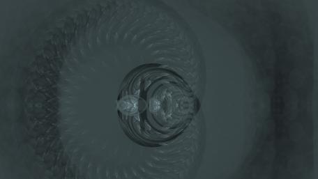 Trilobit wallpaper
