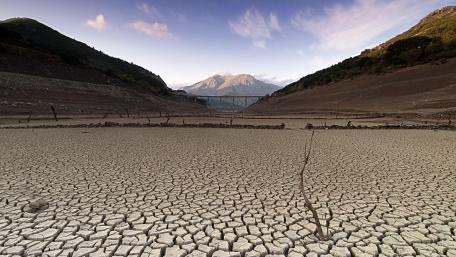 Drought's Grasp on Nature's Beauty wallpaper