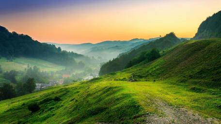 Serene Hillside at Dawn wallpaper
