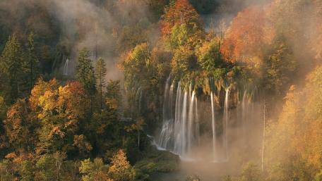 Autumn Serenity in Nature's Embrace wallpaper