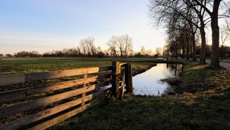 Tranquil Evening by the Stream wallpaper