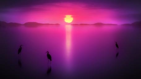 Serene Purple Sunset Over Tranquil Waters wallpaper