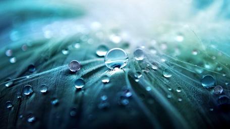 Captivating Waterdrops on Soft Surface wallpaper