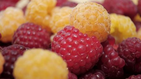 Vibrant Raspberries in Stunning Detail wallpaper