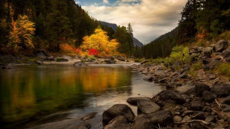 Autumn Reflections by the Riverbank wallpaper