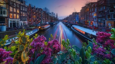 Beginning of spring in Amsterdam wallpaper