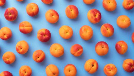 Vibrant Apricot Delight Wallpaper wallpaper