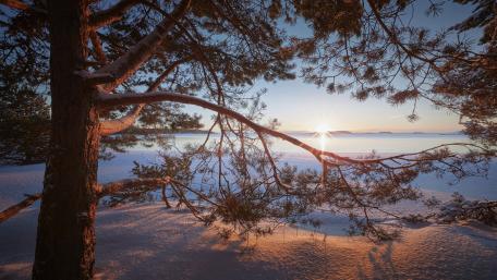 Serene Winter Sunrise Over Frozen Landscape wallpaper