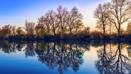 Tranquil Reflections of Nature at Dusk wallpaper