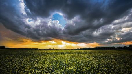 Majestic Sunrise Over a Vibrant Field wallpaper