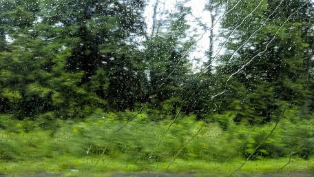 Rainy Day Serenity Through a Window Glass wallpaper