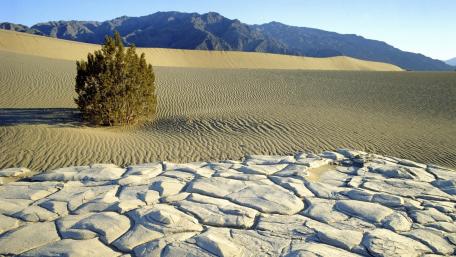 Desert Serenity and Solitude Landscape wallpaper