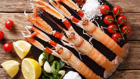 Delicious Seafood Ingredients for Culinary Inspiration wallpaper