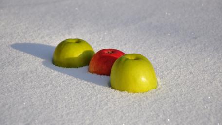 Colorful Apples in a Winter Wonderland wallpaper