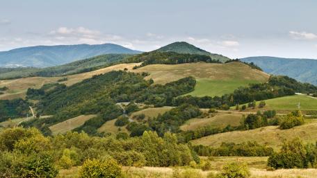 Serene Hills and Rolling Greens Displaying Nature's Beauty wallpaper