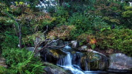 Tranquil Waterfall in Lush Greenery wallpaper