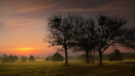 Serene Sunset Over Misty Fields wallpaper