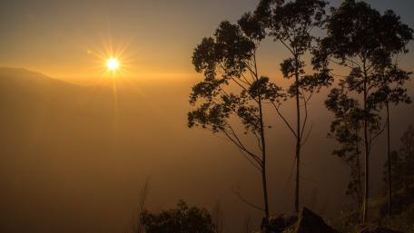 Serene Sunrise Over Misty Mountains wallpaper