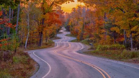 Winding Road Through Autumn Splendor wallpaper