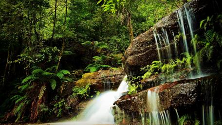 Lush Waterfall in Serene Forest Setting wallpaper