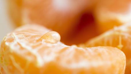Citrus Delight with Dewy Freshness wallpaper