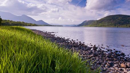 Tranquil Lakeside Serenity Amidst Nature's Beauty wallpaper