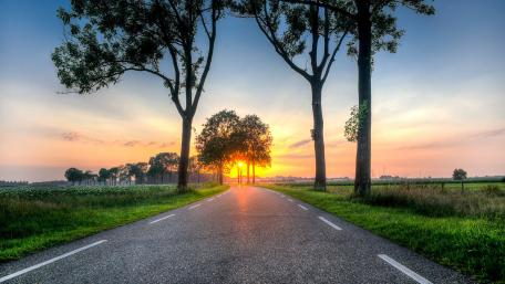 Serene Sunset Over a Tree-Lined Roadway wallpaper