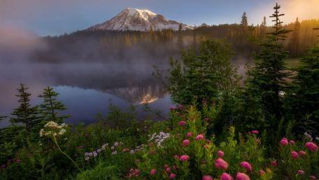 Mount Rainier National Park wallpaper
