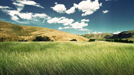 Serene Meadow Under Cloudy Sky wallpaper