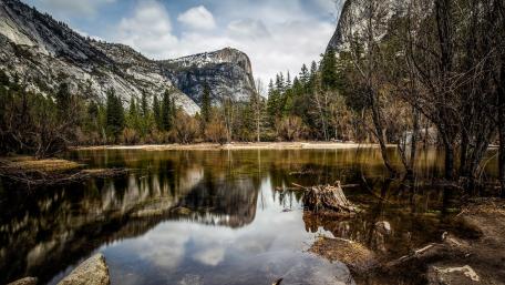 Serene Reflections in Nature’s Embrace wallpaper
