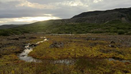 Serene Landscape at Dusk with Gentle Stream and Lush Vegetation wallpaper