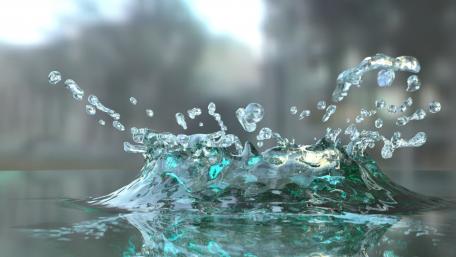 Dancing Water Drops in Nature's Embrace wallpaper