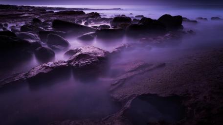 Misty Purple Shoreline wallpaper