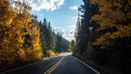 Autumn Journey Through a Forest Road wallpaper