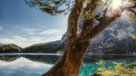 Sunlit Serenity by the Lake wallpaper