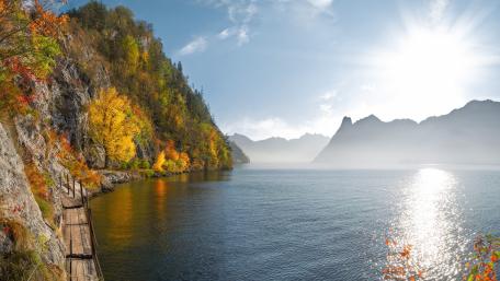 Serene Autumn Pathway by the Lake wallpaper