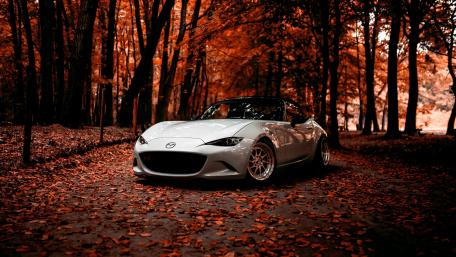Autumn Ride in a Dream Mazda wallpaper