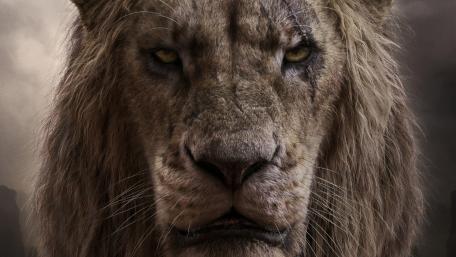 Majestic Lion Close-Up Wallpaper wallpaper