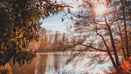 Serene Autumn Reflections by the Lake wallpaper