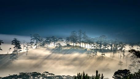 Misty Morning Serenity in Nature wallpaper