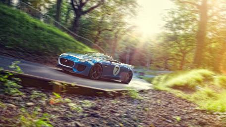 Sleek Sports Car Racing Through Nature wallpaper