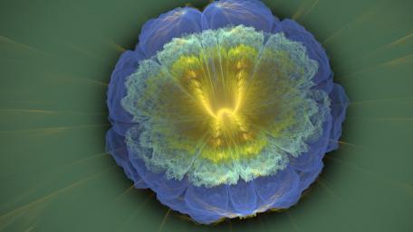 Vibrant Fractal Flower Design for Your Space wallpaper