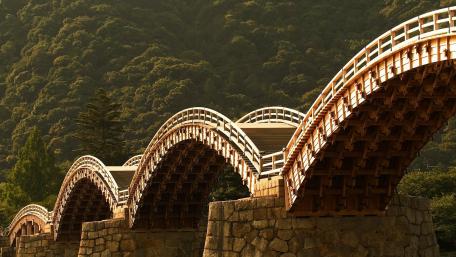 Elegant Arched Bridge Surrounded by Nature wallpaper